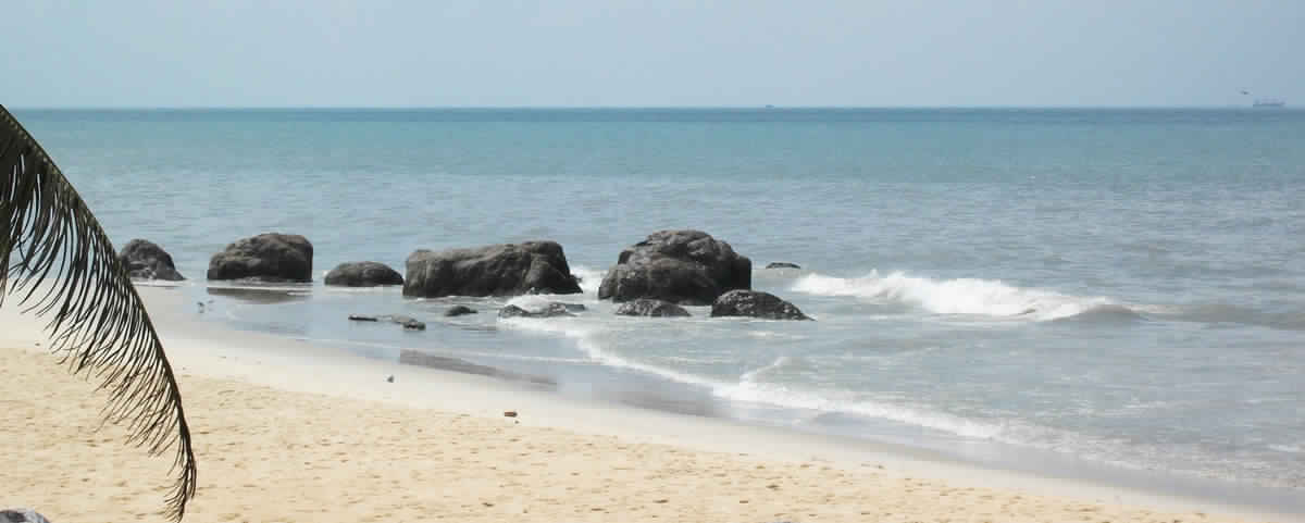 sasihitlu